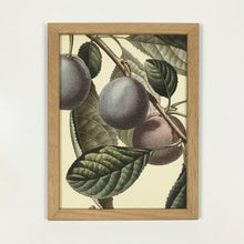 Charger l&#39;image dans la galerie, Impressions botaniques - The Dybdahl Co.