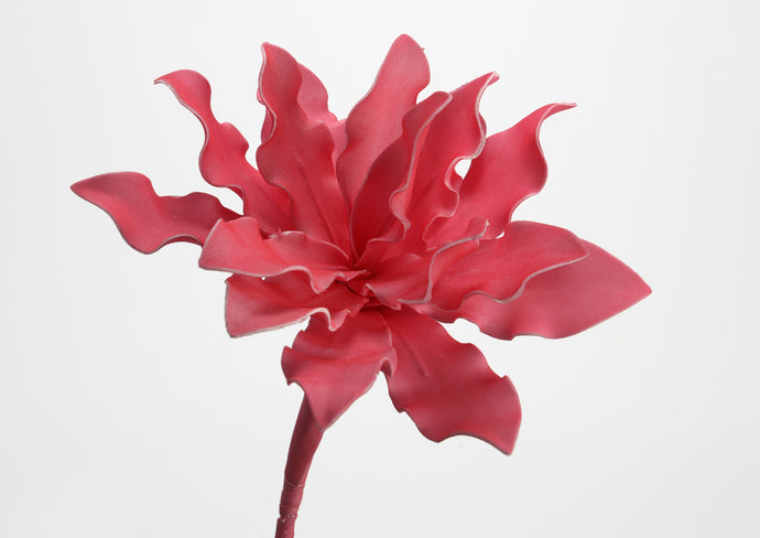 Fleur cumbia fuchsia H54 cm - Amadeus