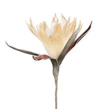 Charger l'image dans la galerie, Fleur artificielle Acilia pêche 65 cm - Côté Table