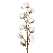 Charger l'image dans la galerie, Fleur artificielle Gossypium blanche et brune 92 cm - Côté Table