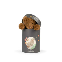 Charger l&#39;image dans la galerie, Arthur L&#39;ours Arthur et Louison - Moulin Roty