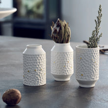 Charger l'image dans la galerie, Mini-vases Constellations Räder avec fleurs séchées