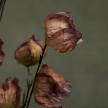 Charger l'image dans la galerie, Tige de physalis artificielle verte et violine 80 cm - Home Edelweiss