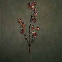 Charger l'image dans la galerie, Tige de physalis artificielle verte et violine 80 cm - Home Edelweiss