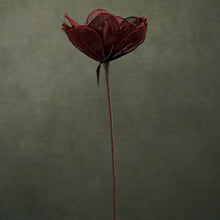 Charger l'image dans la galerie, Fleur artificielle Lilia chianti 48 cm - Home Edelweiss
