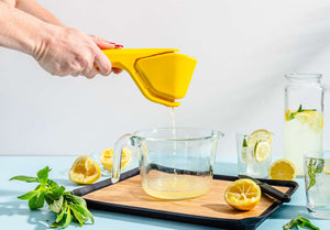 Presse citron Fluicer - Dreamfarm