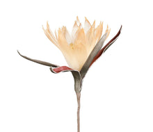 Charger l'image dans la galerie, Fleur artificielle Acilia pêche 65 cm - Côté Table