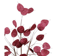 Charger l'image dans la galerie, Branche artificielle Beckia prune 105 cm - Côté Table