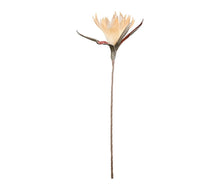 Charger l'image dans la galerie, Fleur artificielle Acilia pêche 65 cm - Côté Table