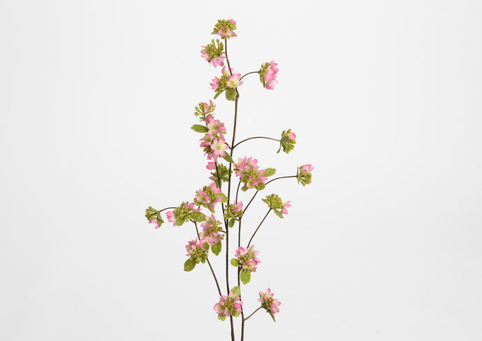 Branche mini skimmia rose H70 cm - Amadeus