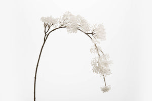 Branche skimmia neige - Amadeus