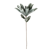 Charger l&#39;image dans la galerie, Fleur Tubai vert d&#39;eau H 97 cm - Côté Table