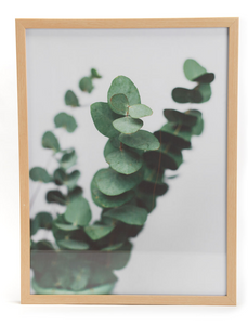 Cadre déco eucalyptus 48* 63 cm - Amadeus